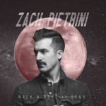 Zach Pietrini - What Are We Now