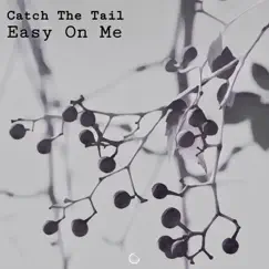 Easy On Me - Single by Catch The Tail album reviews, ratings, credits