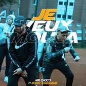 Je Veux Moula artwork