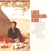 Luke Winslow-King - Have a Ball