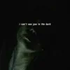 I Can't See You In the Dark - Single album lyrics, reviews, download