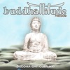 Buddhattitude Freedom