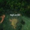 High on Life - Single