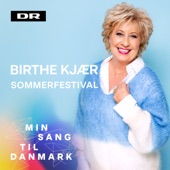 Sommerfestival (Min Sang Til Danmark) artwork