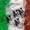Bergamo Brick City - In diretta dalla Cittadella dello Sport