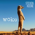 Steven Keene - Wicked Messenger