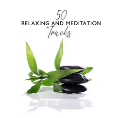 50 Relaxing and Meditation Tracks by Namaste Healing Yoga, Body and Soul Music Zone & Deep Buddhist Meditation Music Set album reviews, ratings, credits