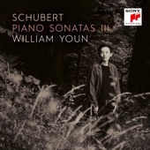 Schubert: Piano Sonatas III artwork