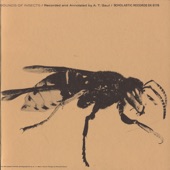 Albro T. Gaul - Insect Flight (Wing-Beat Vs. Load; Flight-Light Experiment; In A Hornet Nest)