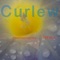 Blood Meridian - Curlew lyrics