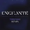 Enchanté (feat. Malik Harris & Minelli) [Tungevaag Remix] - Single album lyrics, reviews, download