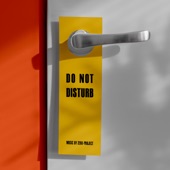 Do Not Disturb artwork