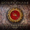 Whitesnake - Still Of The Night (2022 Remix) artwork