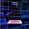 Netzhass - Single