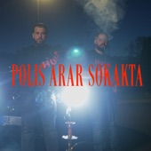 POLIS ARAR SOKAKTA artwork