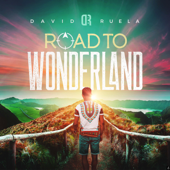 Road To Wonderland - EP - DJ David Ruela