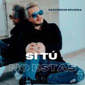 Si Tú No Estas artwork