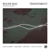 Transparent (feat. Bori Albero, Jaume Llombart & Jordi Rossy) artwork