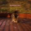 Scaredy Cat - Single
