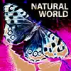 Natural World album lyrics, reviews, download