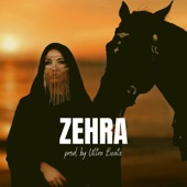 Zehra (Instrumental) artwork