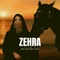 Zehra (Instrumental) artwork