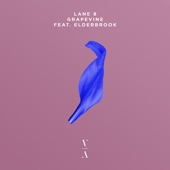 Lane 8 - Grapevine