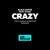 Crazy (feat. Thiwe) [The Charles Webster Remixes] album lyrics, reviews, download