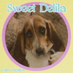 Sweet Delila - Single