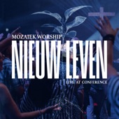 Nieuw Leven (feat. Kees Kraayenoord) [Live] artwork