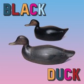Black Duck - Of the Lit Backyards
