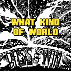 What Kind of World - Single by Rico Tubbs album reviews, ratings, credits