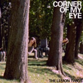 The Lemon Twigs - Corner Of My Eye