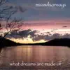 What Dreams Are Made Of - Single album lyrics, reviews, download