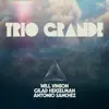 Trio Grande album lyrics, reviews, download