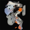 Sky Bird - Single