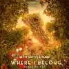 Where I Belong - Single album lyrics, reviews, download