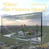 Stream & download Where the Flowers Bloom (feat. punchnello) - Single