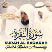 Surah Al Baqarah artwork