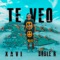 Te Veo (feat. 2R) - Xavii lyrics