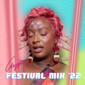 Festival Mix 2022 (DJ Mix) artwork