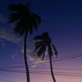 Palm Trees artwork