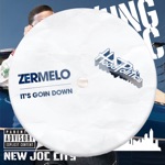 Zermelo - It's Goin' Down
