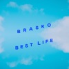Brasko - Shelter