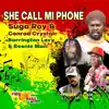 She Call Mi Phone (feat. Barrington Levy & Beenie Man) - Single album lyrics, reviews, download