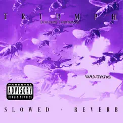 Triumph (slowed + reverb) [feat. Cappadonna] - Single by Wu-Tang Clan album reviews, ratings, credits