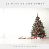 12 Days of Christmas album lyrics, reviews, download