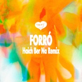 Forró (Haich Ber Na Remix) artwork