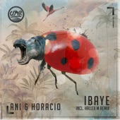 Ibaye (Hallex M Remix) artwork