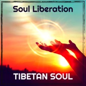 Soul Liberation artwork